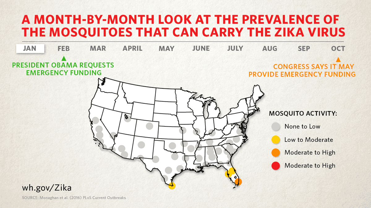 Map of month-by-month prevalance of mosquitoes that can carry the Zika virus