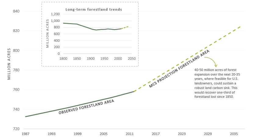 Long-term forestland trends
